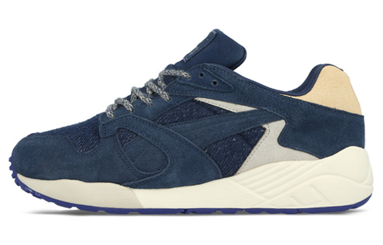 Puma Trinomic XS850 'Blue Grey' 357738-01