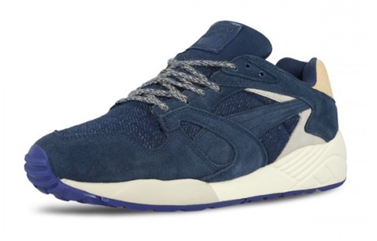 Order Puma Trinomic XS850 ''Bleu Gris'' 357738-01