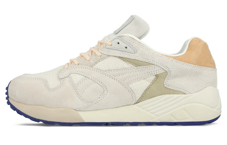 Puma Trinomic XS850 'Grey' 357738-03