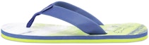 Buy Puma Triumph X 'Azul Verde' 371902-04