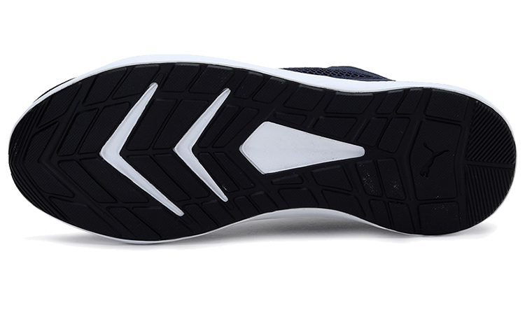 Details for 彪馬 Troy Mu 深藍白金