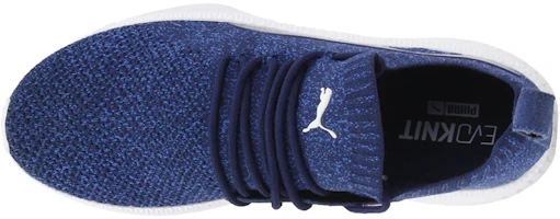 Lookbook Puma Tsugi Apex Evoknit Low Top Running Shoes Blue/Black 366432-03