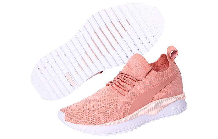 Purchase Chaussures Puma Tsugi Apex Evoknit Rose/Blanc 366432-07
