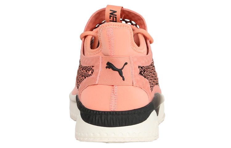 Shop Puma Tsugi Netfit V2 淡橙 低筒運動鞋