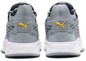 Shop Puma Tsugi Netfit V2 EvoKnit 'Grey' 365487-08