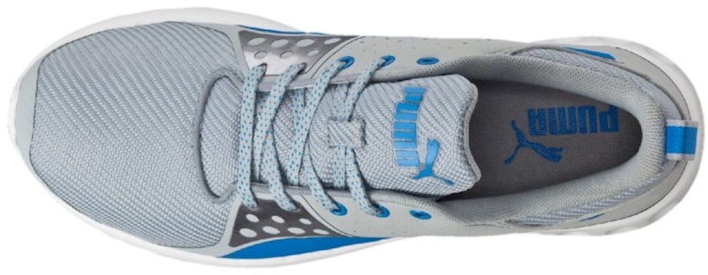 Buy Puma Valor Mesh Light Grey 189446 02 Novelship