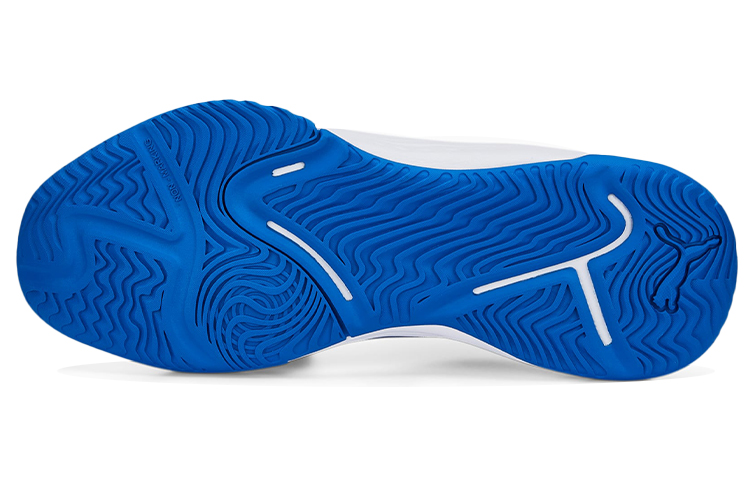 Details for Puma Varion Indoor ''Blau Weiß'' 106472-06