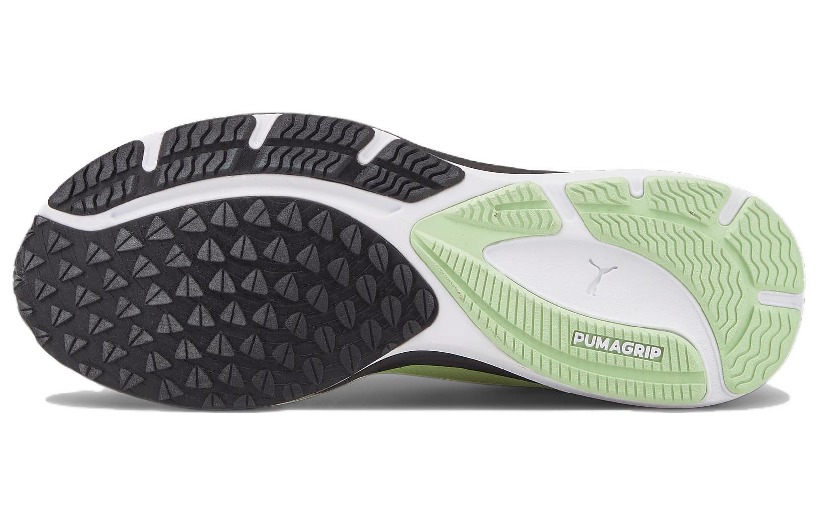 Purchase 彪马Velocity Nitro 2 'Run 75'跑鞋 378529-01