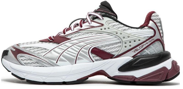 Puma Velophasis Phased 'Blanco Burdeos' 389365-08 Buy Puma Velophasis Phased 'Blanco Burdeos' 389365-08