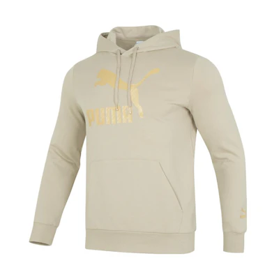 Puma Vintage Logo Print Hoodie Unisex Gray Beige Retro Long Sleeve Casual Wear 625822-90