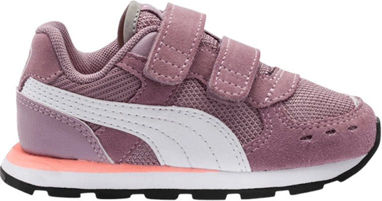 Elderberry pumas online