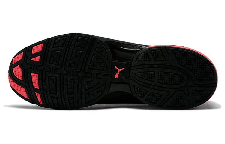 Details for Puma Viz Runner ''Zwart Wit Infrarood'' 191037-02