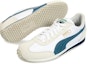 Purchase Puma Whirlwind Classic 'Kelabu Biru Putih' 351293-99