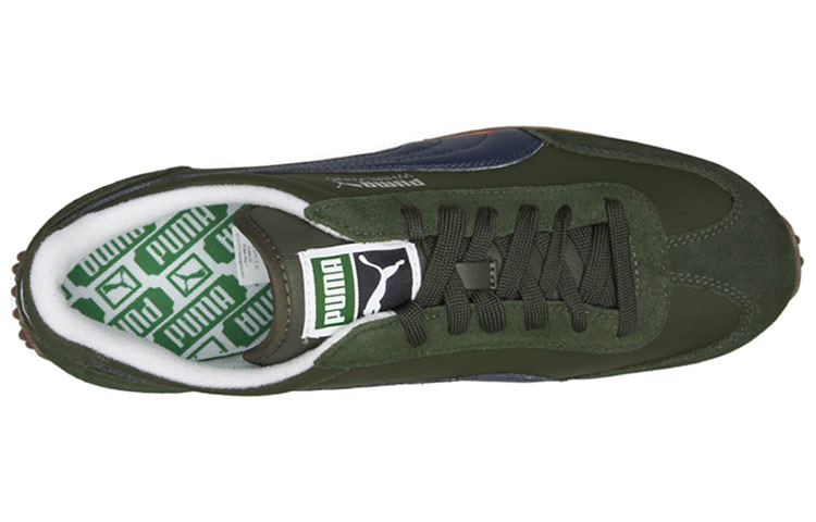 Lookbook Puma Whirlwind Klassiek Blauw/Groen 354363-20