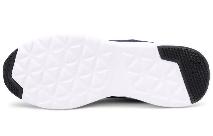 Details for 彪马 Wired Imeva 蓝色运动鞋 366970-09