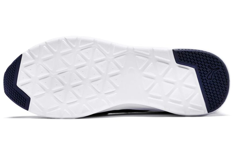 Details for Puma Wired Knit ''Sodaliet Blauw'' 366971-02