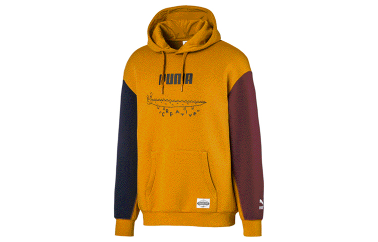 Puma TYAKASHA Hoodie Comfortable Casual Sweatshirt 595558-64