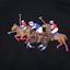 Sizing Ralph Lauren Logo Print Embroidered Hoodie Black Long Sleeve 710823853-006