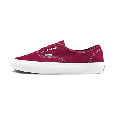 Ray Barbee Leica Vans Authentic LX 'Capturing the Journey'