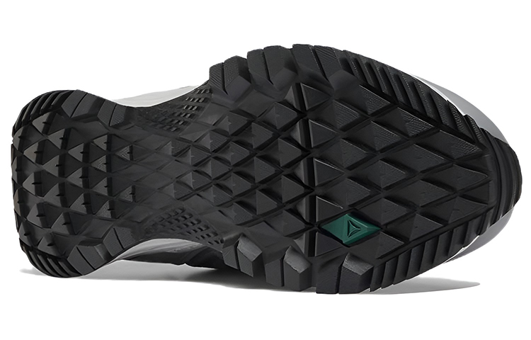 Purchase Reebok Astroride Trail 2.0 'Gris' DV5960