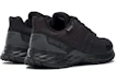 Shop Reebok Astroride Trail Gtx 2.0 '黑色' 登山鞋 EF4157