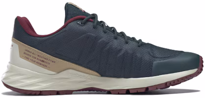 Order Reebok Astroride Trail GTX 2.0 舒適耐磨跑步鞋 深綠