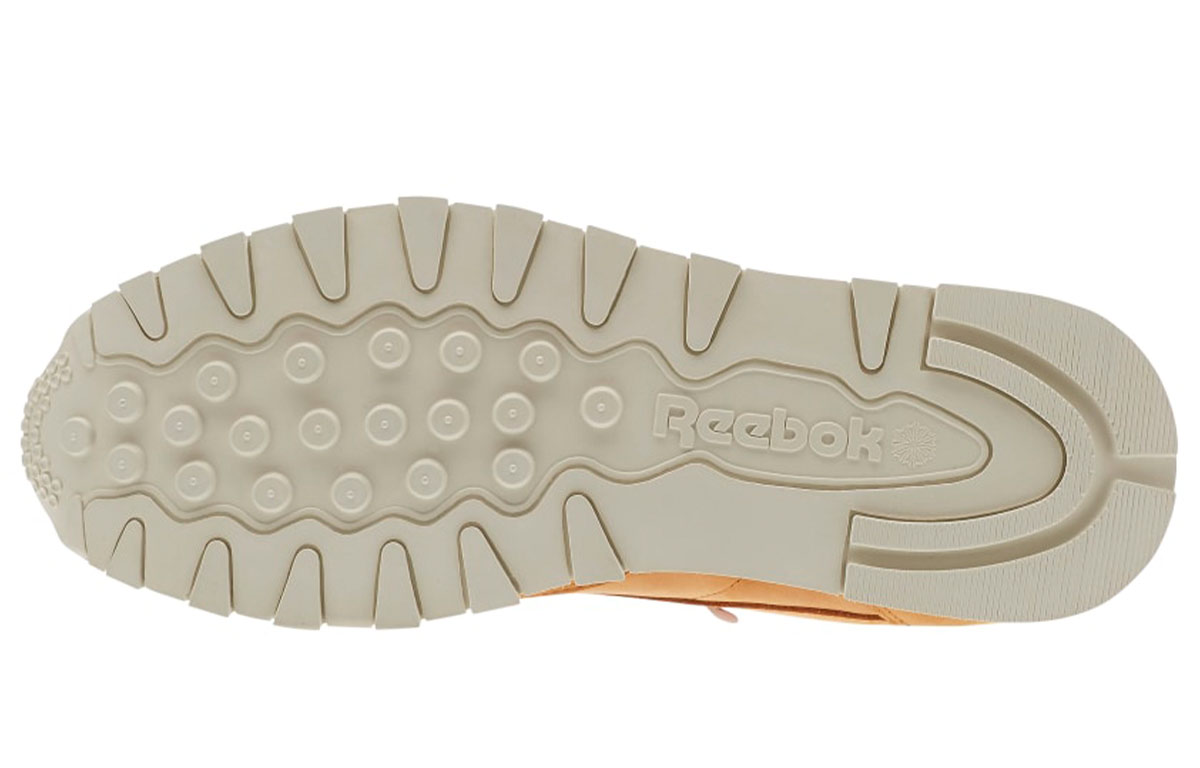 Details for Reebok Classic Leather Mid Goretex 'Coklat' AQ9851