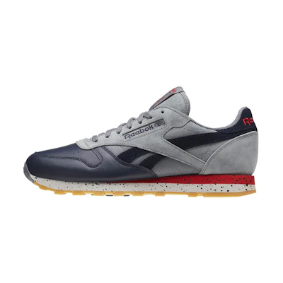 Reebok Classic Leather SM 'Asteroid Dust'