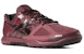 Reebok CrossFit Nano 2.0 'Rustic Wine' Kasut Sukan DV8245