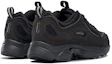 Shop Reebok Daytona DMX II Schwarz DV7255