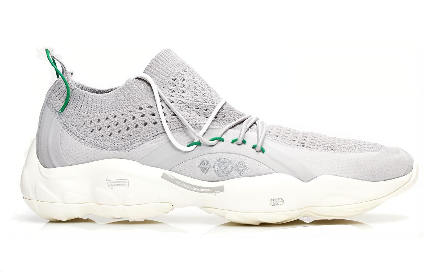 Order Reebok DMX Fusion ''Gris Basilic'' CN3602