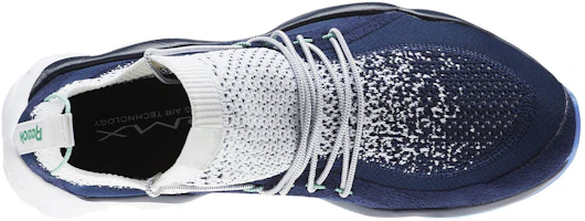 Shop Reebok Dmx Fusion Hc Blue 'White' CM9624