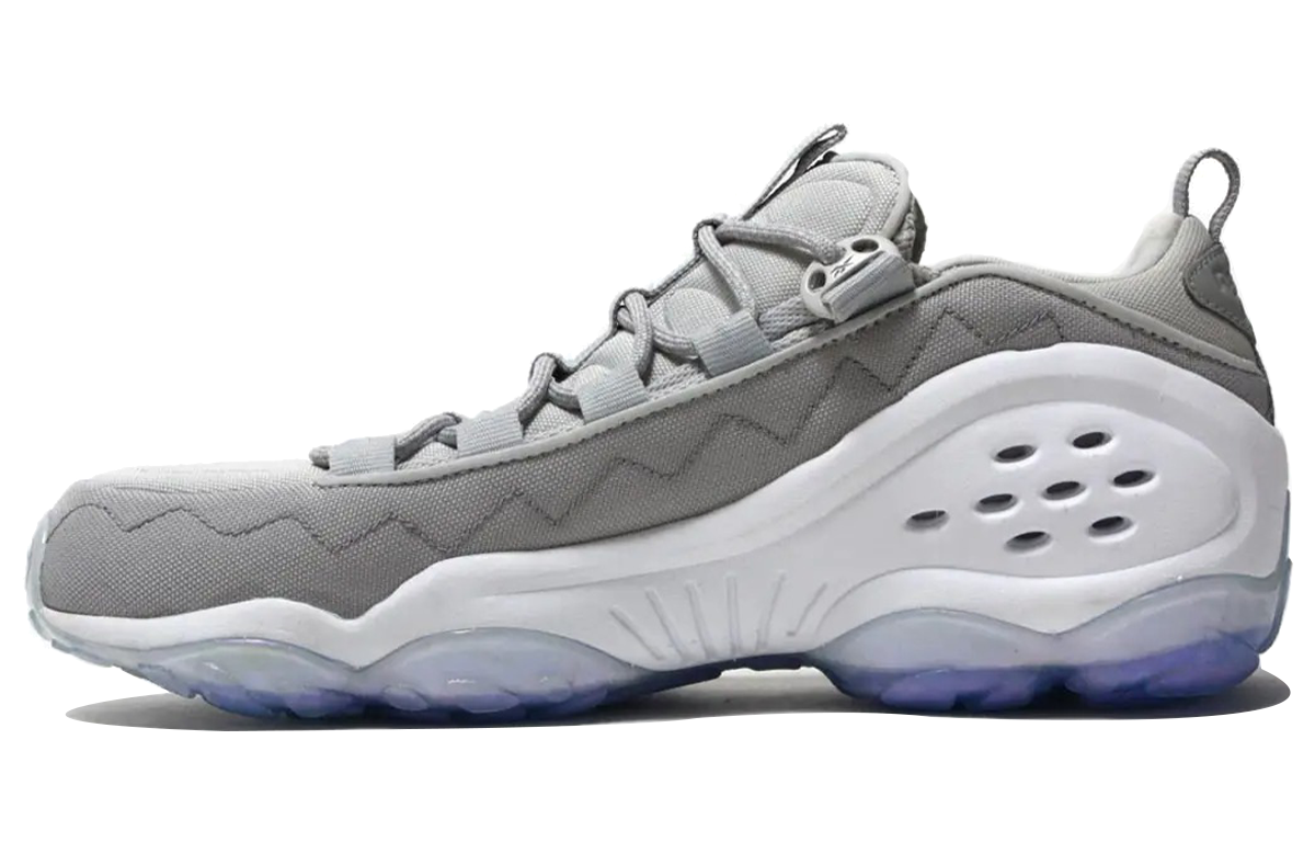 Reebok DMX Run 10 'IICE Low Grey White' CM9673