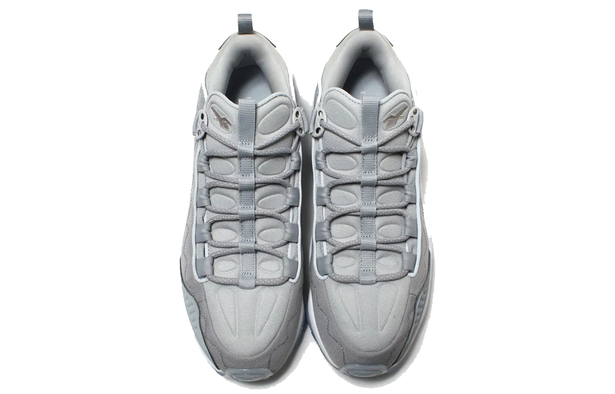 Shop Reebok DMX Run 10 'IICE Low Gris Blanco' CM9673