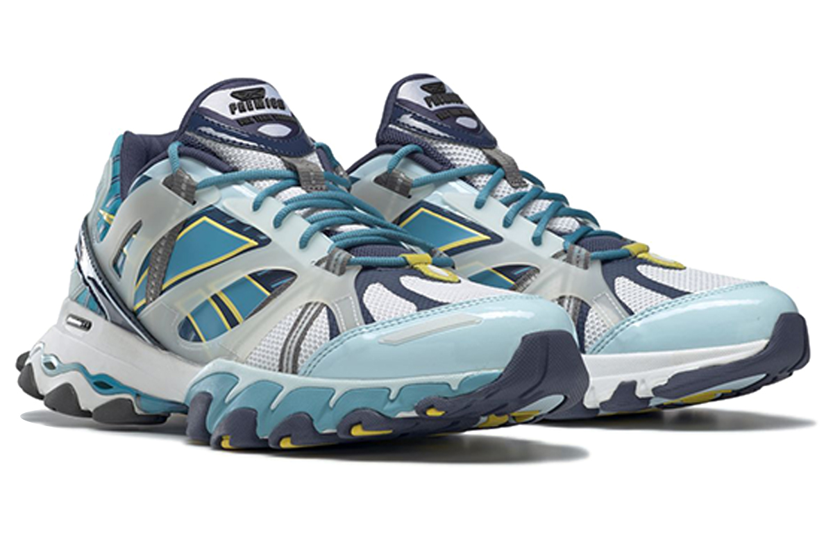 Lookbook Reebok DMX Trail Shadow ''Bleu Blanc'' FX4398