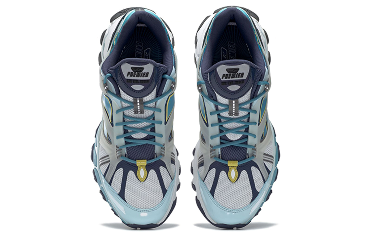 Shop Reebok DMX Trail Shadow ''Bleu Blanc'' FX4398