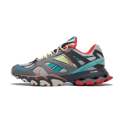 Reebok DMX Trail Shadow 'Cold Grey Rustic Clay'