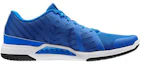 Order Reebok Everchill Tr 2.0 ''Blauwe Lage Hardloopschoenen'' BS8075