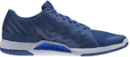 Order Reebok Everchill Tr 2.0 ''Blauwe Runner'' CN4743