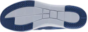 Details for Reebok Everchill Tr 2.0 ''Blauwe Runner'' CN4743