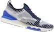 Shop Reebok Floatride 6000 ''Bianco Blu'' CN2232