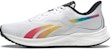 Reebok Floatride Energy 3 'Pride' Kasut Larian Lelaki GY5022