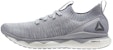 Reebok Floatride Rs Ultk 'Kelabu' CM8756