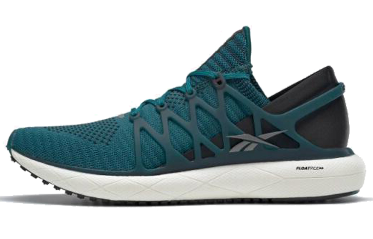 Reebok Floatride Run 2 EH0974