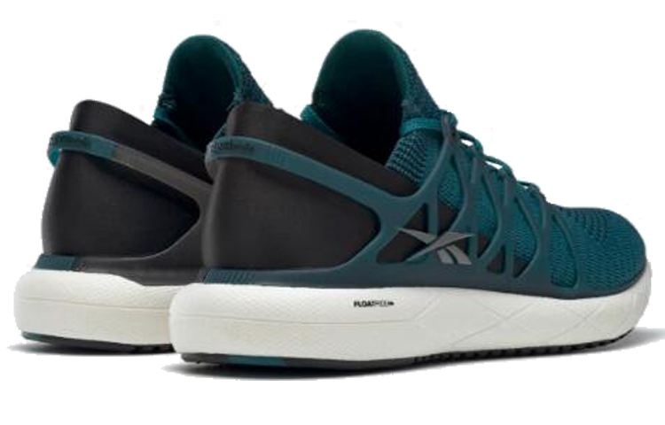 Shop Reebok Floatride Run 2 EH0974
