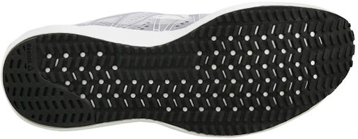 Details for Reebok Floatride Run Fast 'Grey White' EG0885
