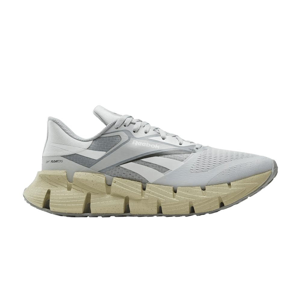 Reebok FloatZig 1 'Grey Classic Beige' 100206724