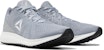 Reebok Forever Floatride Energy 'Colsha' Lelaki & Wanita EF7544