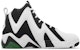 Reebok Hurrikaze 2 'Sonics Terbalik' 100033879