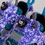 Purchase Reebok InstaPump Fury Og 'Social Status' V61540